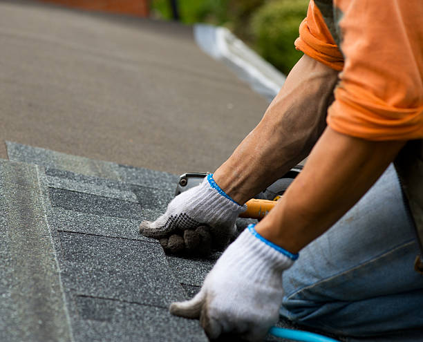 Best Gutter Installation and Roofing  in Clendon, AR