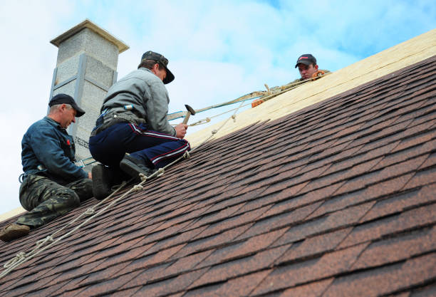 Best Residential Roofing Contractor  in Clendon, AR